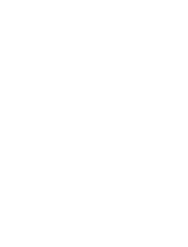 TotoFisc